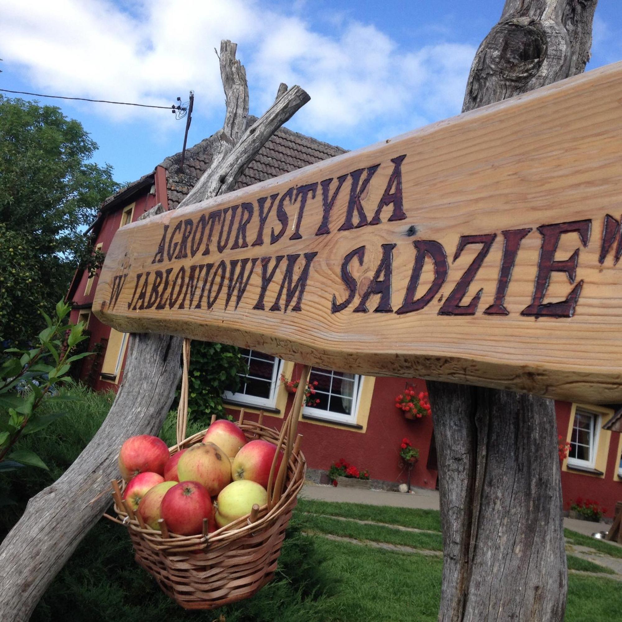 Agroturystyka W Jabloniowym Sadzie Jezyce Exterior foto